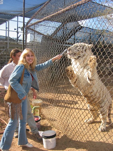 Candice Night with tiger
